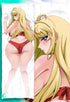 Minami Fuyuki Dakimakura Body pillow case